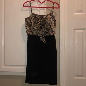 🛍 Leopard & Black Dress 👗
